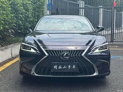 2022 Lexus ES 260 Excellence Edition, фото 2, лот 10438030