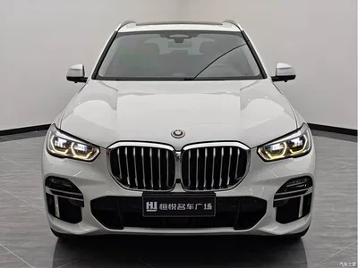 2019 BMW X5 (Import) xDrive40i Exclusive M Sport Package, фото 2, лот 10432171