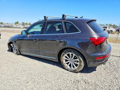 2015 AUDI Q5 PREMIUM PLUS, фото 2, лот 10854169