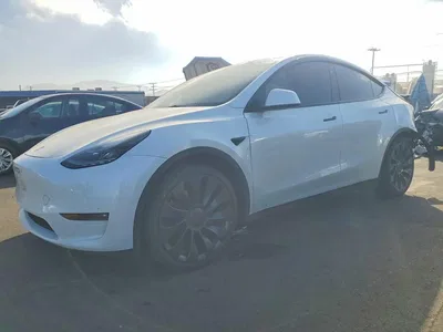 2025 TESLA MODEL Y, фото 1, лот 10856126