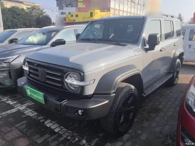 2021 Tank 300 Off-road Edition 2.0T Challenger, фото 1, лот 10345560