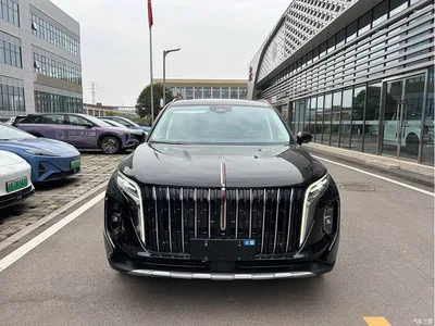 2024 Hongqi HS7 PHEV 2.0T PHEV 4WD Flagship Edition 6-seater, фото 2, лот 10288051