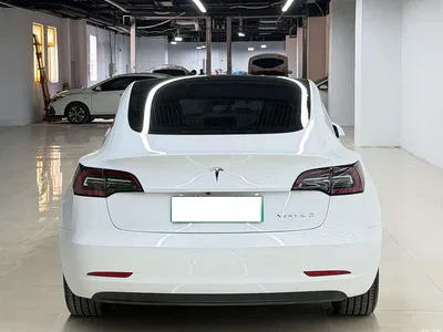 2020 Tesla Model 3 Standard Range Rear-Wheel Drive Upgrade, фото 3, лот 10346460