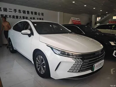 2024 BYD Destroyer 05 DM-i 55KM Pilot Glory Edition, фото 3, лот 10254534