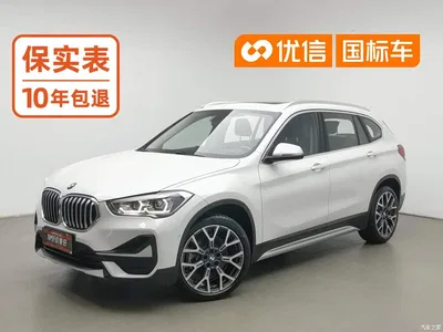 2020 BMW X1 xDrive25Li Premium Edition, фото 1, лот 10232278