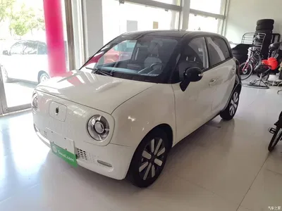 2019 Ora Black Cat 351km Family Edition, фото 2, лот 10330472