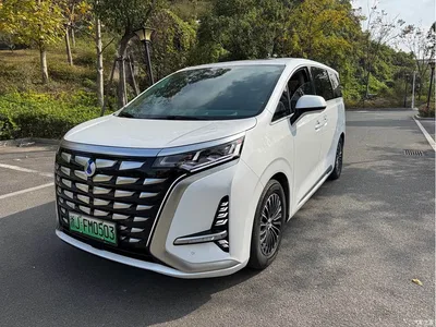 2022 Denza D9 DM-i 970 All-Wheel Drive Honor Edition, фото 1, лот 10693416