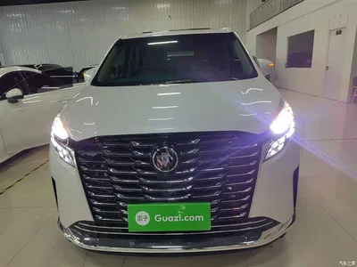 2023 Buick GL8 ES Landmaster Exclusive, фото 3, лот 10262369