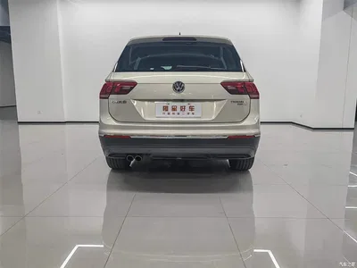 2019 Volkswagen Tiguan L Facelift 330TSI Auto 2WD Panorama Comfort China VI, фото 4, лот 10417576