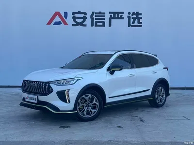 2022 Haval Chitu Power Edition 1.5T Purple Copper Rabbit, фото 1, лот 11074181