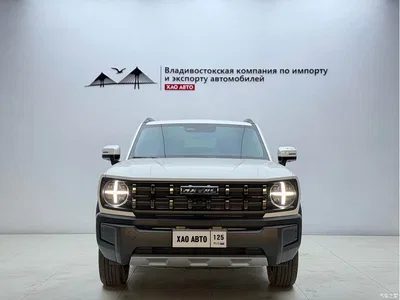 2022 Haval Cool Dog Model 1.5T DCT FWD Trendy Sound Edition, фото 2, лот 11170906