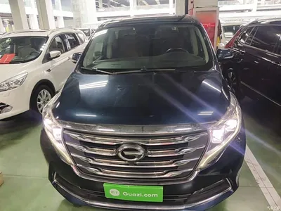 2020 GAC Trumpchi Trumpchi M8 390T Prestige, фото 3, лот 10422299