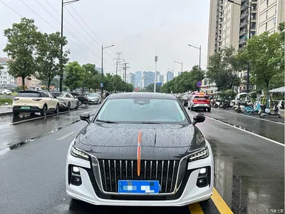 2023 Hongqi H5 2.0T Auto Smart Connect Flag Comfort, фото 2, лот 11548082
