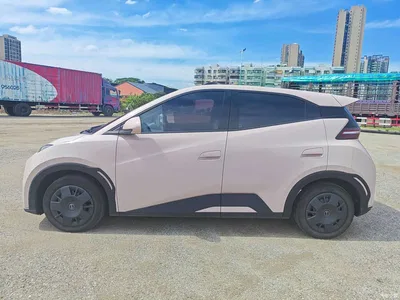 2024 BYD Seagull Glory Edition 305km Vitality Edition, фото 4, лот 10252776