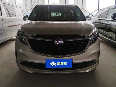 2022 Buick GL8 ES Landmark 653T Premium, фото 2, лот 11103719
