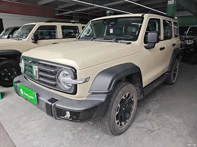 2025 Tank 300 New Energy Hi4-T, фото 2, лот 10345439