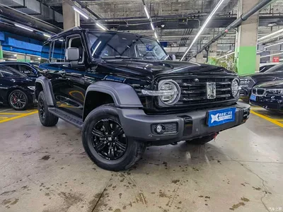 2021 Tank 300 Off-road Edition 2.0T Challenger, фото 3, лот 10344573