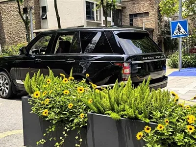 2013 Land Rover Range Rover 5.0 SC V8 AB Ultimate Genesis Edition, фото 4, лот 10337888