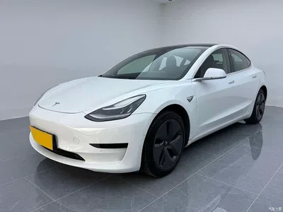 2019 Tesla Model 3 (Import) Standard Range RWD Upgraded Edition, фото 1, лот 10306320