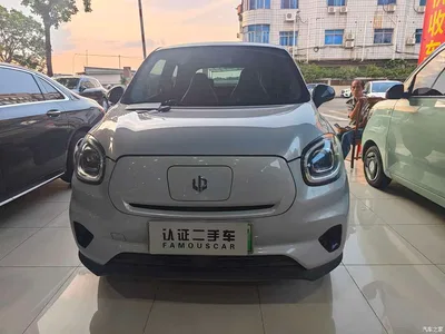 2024 Leapmotor T03 310 Comfort Edition, фото 2, лот 11178307