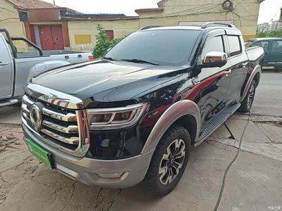 2021 Great Wall Pao 2.0T Passenger Global Edition Automatic Gasoline 4WD Premium Standard Box GW4C20B, фото 1, лот 10248896