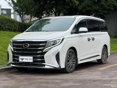 2021 GAC Trumpchi Trumpchi M8 Leading Series 390T Flagship, фото 1, лот 11189891
