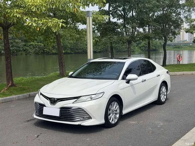 2019 Toyota Camry 2.0G Luxury Edition China VI, фото 1, лот 10268841