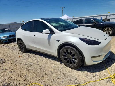 2020 TESLA MODEL Y, фото 4, лот 10851147