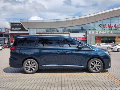2020 GAC Trumpchi Trumpchi M8 Pilot 390T Prestige Edition, фото 4, лот 10662020