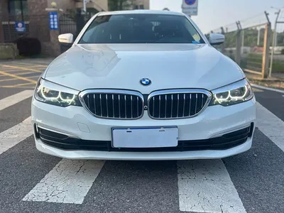 2019 BMW 5 Series (Import), фото 1, лот 10474296