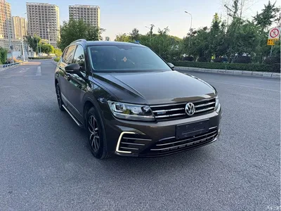 2019 Volkswagen Tiguan L PHEV 430PHEV Hybrid Luxury Edition, фото 3, лот 10260321