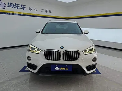 2019 BMW X1 sDrive20Li Leading Model, фото 2, лот 10921250
