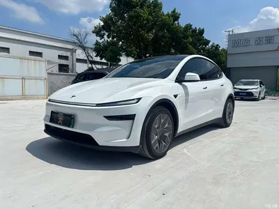 2025 Tesla Model Y L, фото 1, лот 10449866