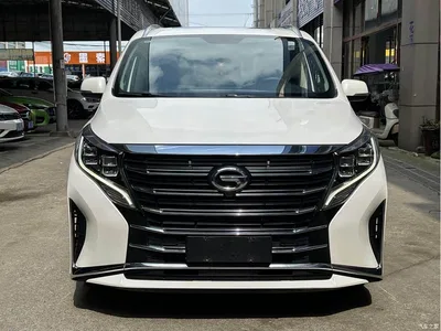 2021 GAC Trumpchi Trumpchi M8 Leading Show Series 390T Luxury Edition, фото 2, лот 10419905