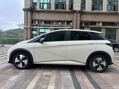 2023 BYD Dolphin 420km Fashion Edition, фото 3, лот 10594094
