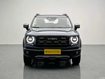 2024 Haval Big Dog 1.5T DCT Border Collie Edition, фото 2, лот 11528152