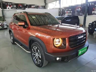 2021 Haval Big Dog 1.5T DCT 2WD Border Collie Edition, фото 4, лот 11565069