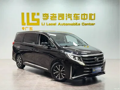 2023 GAC Trumpchi Trumpchi M8 Leading Series 390T Premium Edition, фото 3, лот 10415508