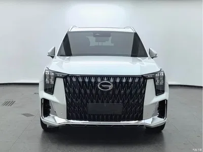 2022 GAC Trumpchi Trumpchi GS8 Dual Engine Series 2.0TM 2WD Premium Edition (7-Seater), фото 2, лот 10415997