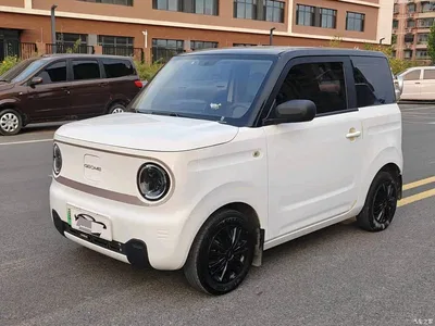 2023 Geely Galaxy Panda Mini 200km Endurance Bear, фото 1, лот 10837472