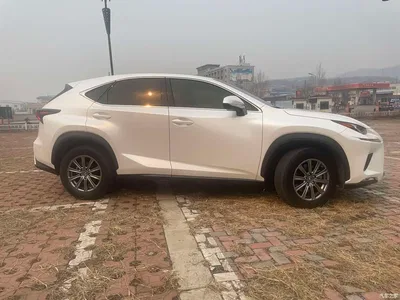 2018 Lexus NX Model 200 FWD Fengxing Edition China V, фото 4, лот 10313353