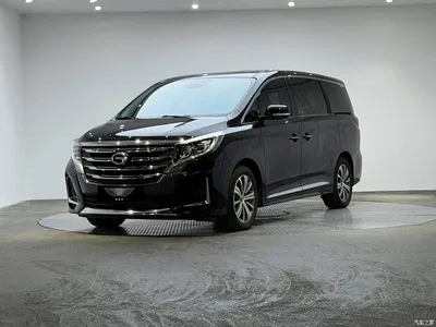 2020 GAC Trumpchi Trumpchi M8 Pilot 390T Prestige Edition, фото 1, лот 10417968