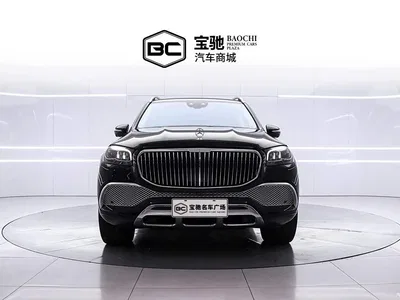 2021 Mercedes-Benz Maybach GLS GLS 480 4MATIC, фото 2, лот 10251689
