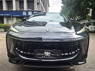 2021 Dongfeng Fengxing T5 EVO 1.5TD DCT Diamond Edition, фото 3, лот 11161063