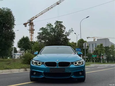 2017 BMW 4 Series 425i Gran Coupe Premium M Sport Package, фото 2, лот 10468375