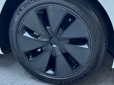 2023 Tesla Model 3 Rear-Wheel Drive, фото 3, лот 10442232