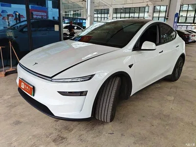 2025 Tesla Model Y Rear-Wheel Drive, фото 1, лот 11062420