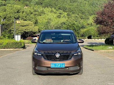 2020 Buick GL8 Model Land Business Class 652T Comfort, фото 2, лот 10253698