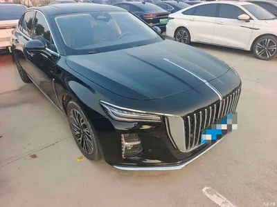 2024 Hongqi H5 2.0T Automatic Smart Connect Flag Smooth Edition, фото 3, лот 10288097