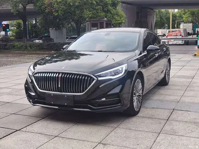 2020 Hongqi H5 1.5T DCT Qi Rhythm Edition, фото 1, лот 11549995